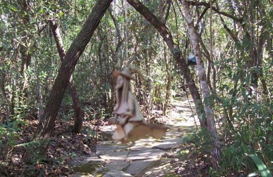 Chales City Camael São Tomé das Letras Eksteriør bilde